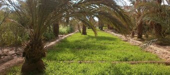 Kasbah sable dor