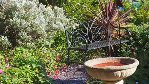 Garden - South View Guest House (Lynton)