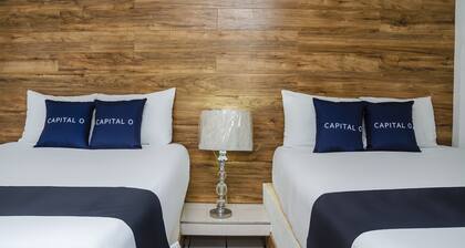 Capital O Hotel Dos Mares, Cabo San Lucas