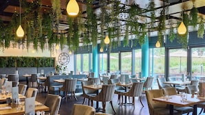 A restaurant with tables and chairs, hanging plants, and large windows. - Wivenhoe House Hotel (Colchester)