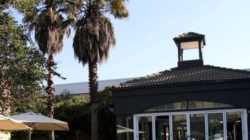 Piscine extérieure, chaises longues