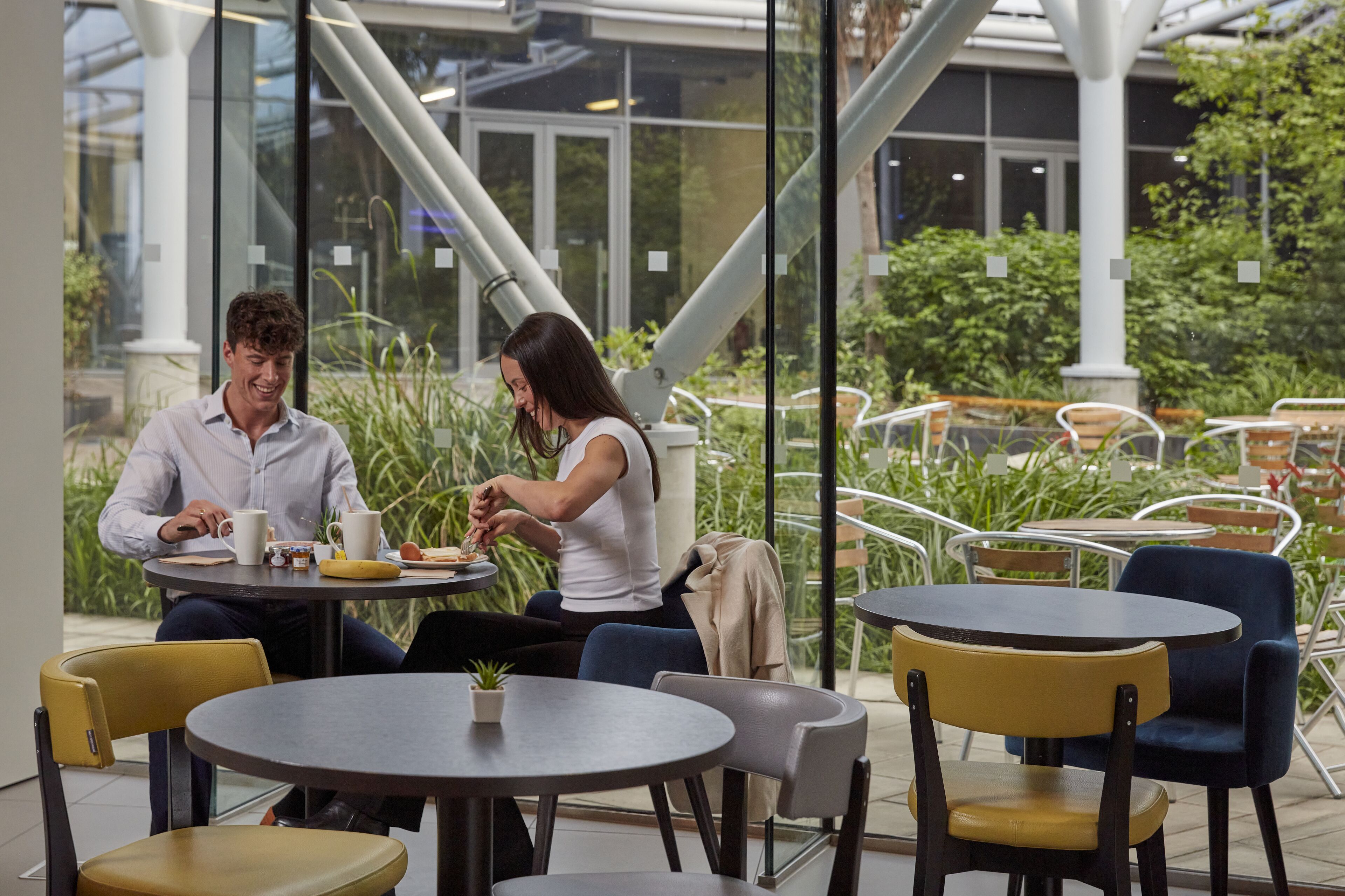 A caf é with round tables and chairs, large windows, and indoor plants.