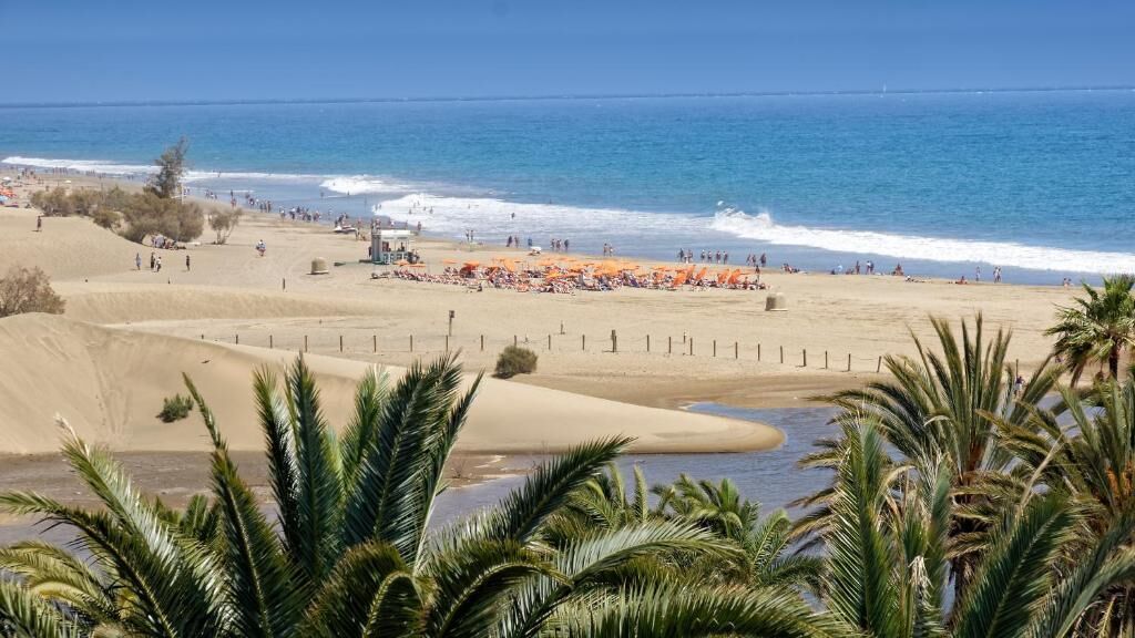 A beach with palm trees, a sandy shore, and the ocean.