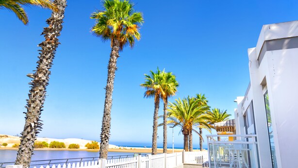 Un hotel frente al mar con palmeras, cielo azul despejado y vistas al océano.