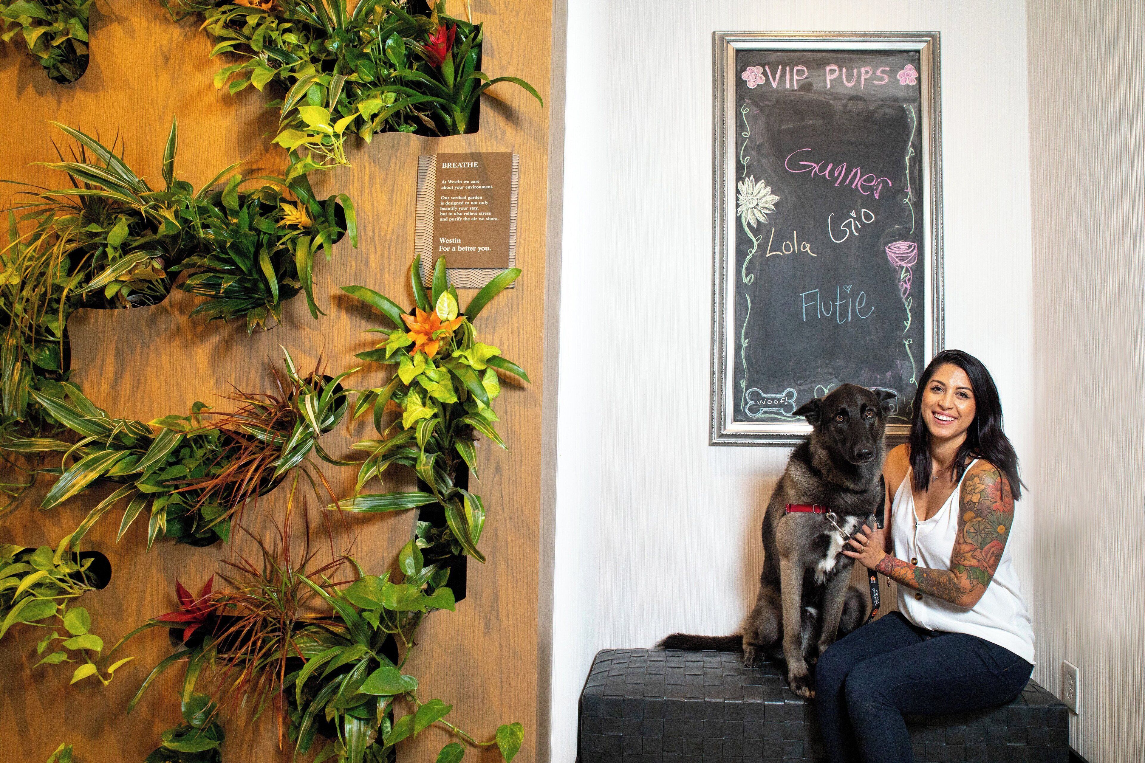 Photo - The Westin Austin Downtown