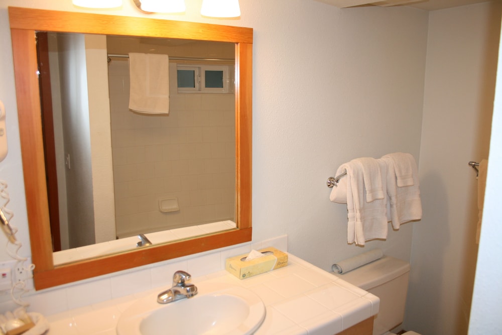 The Waves Cannon Beach by null