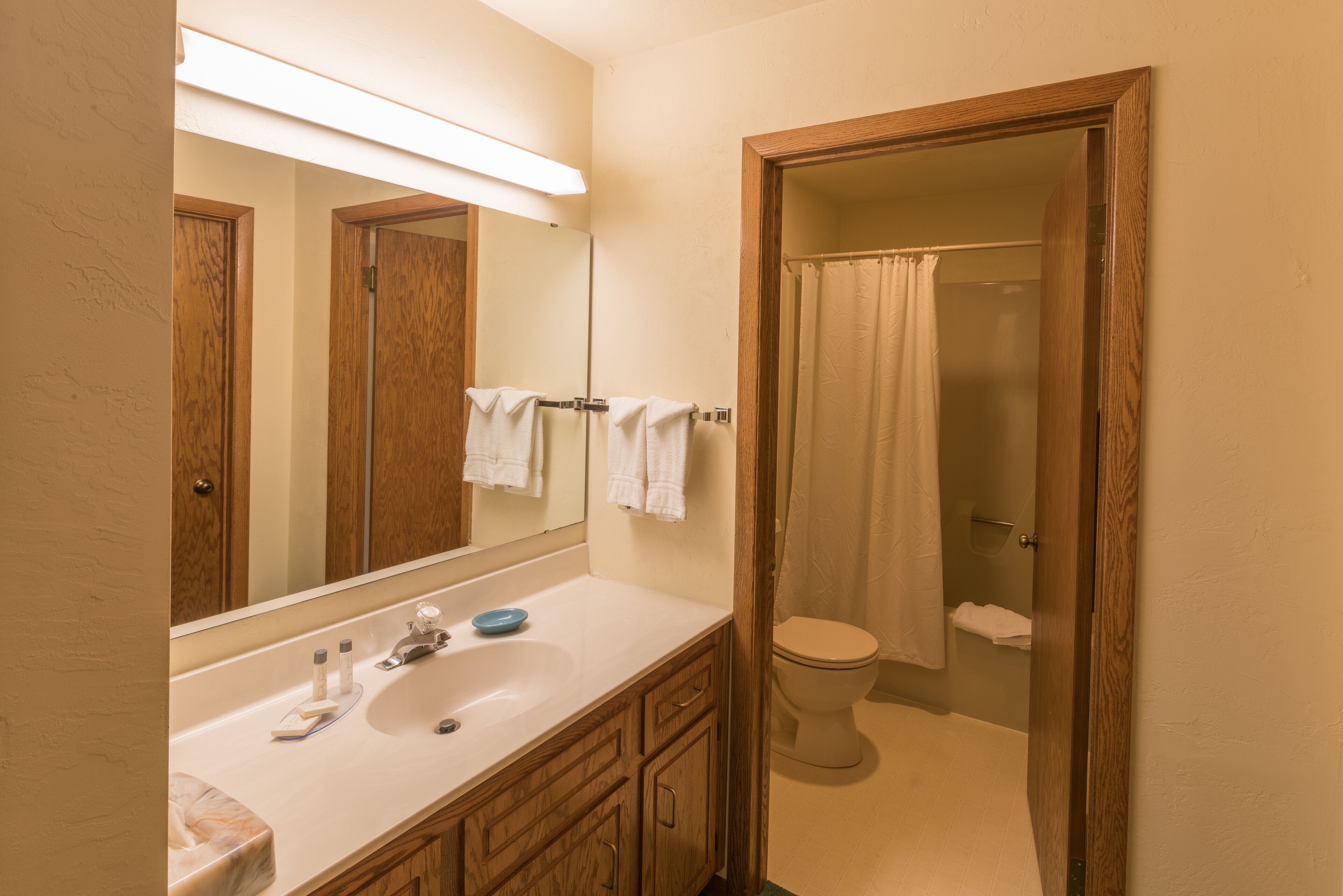 combined shower/bathtub, free toiletries, hair dryer, towels