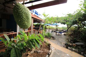 Jardim