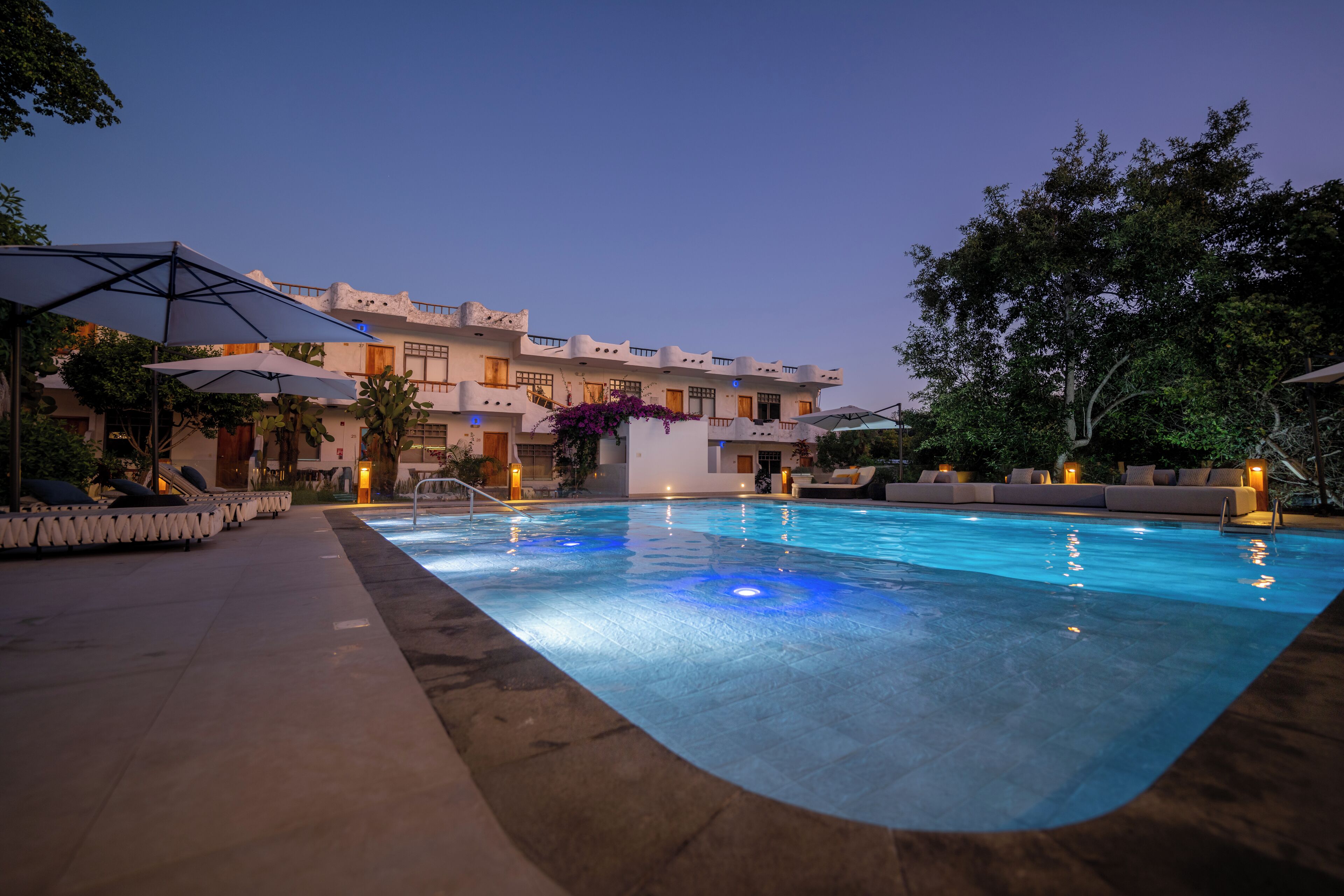 outdoor pool, pool loungers