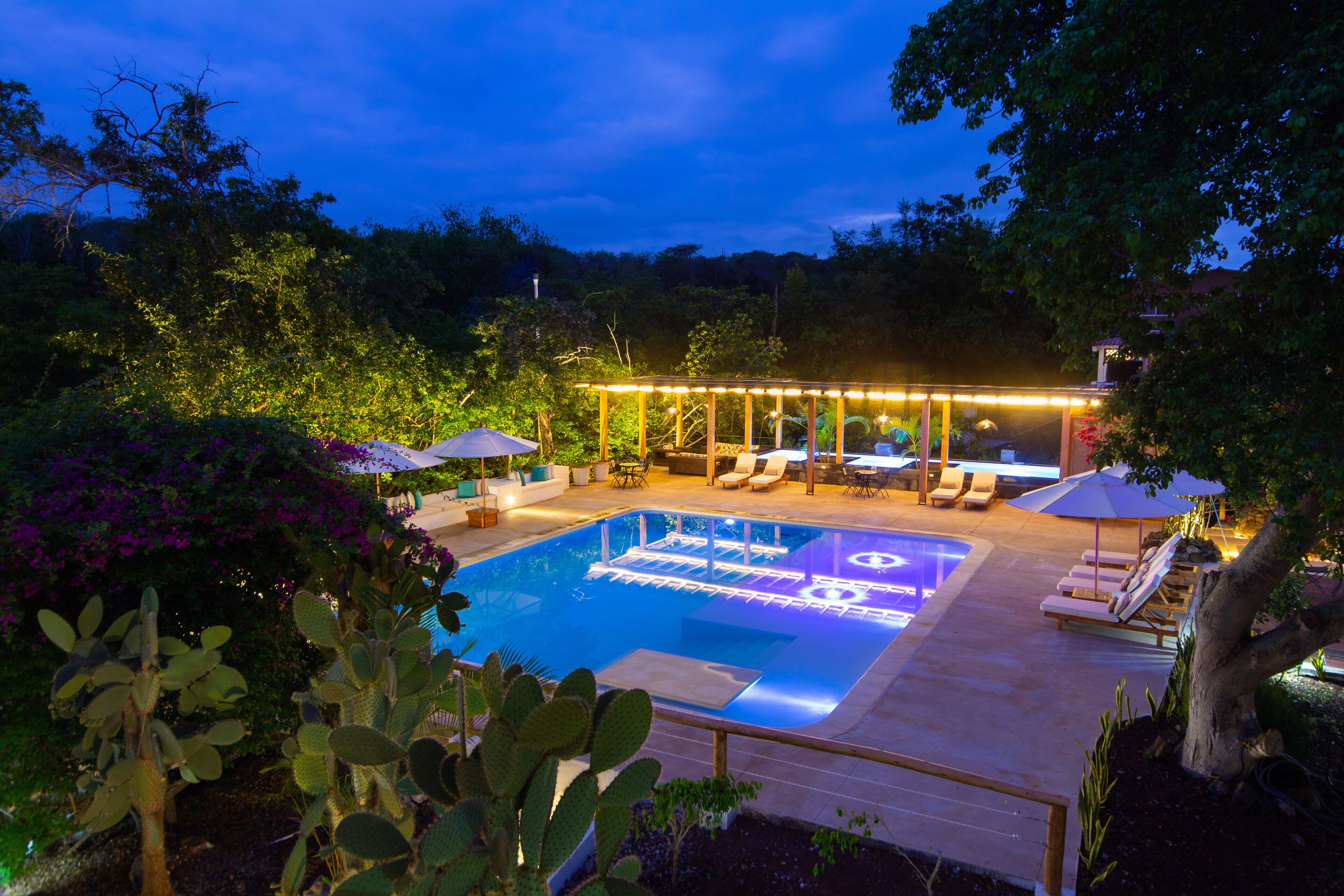 A swimming pool with a sunken seating area, surrounded by lounge chairs and umbrellas, set against a backdrop of trees and a house.