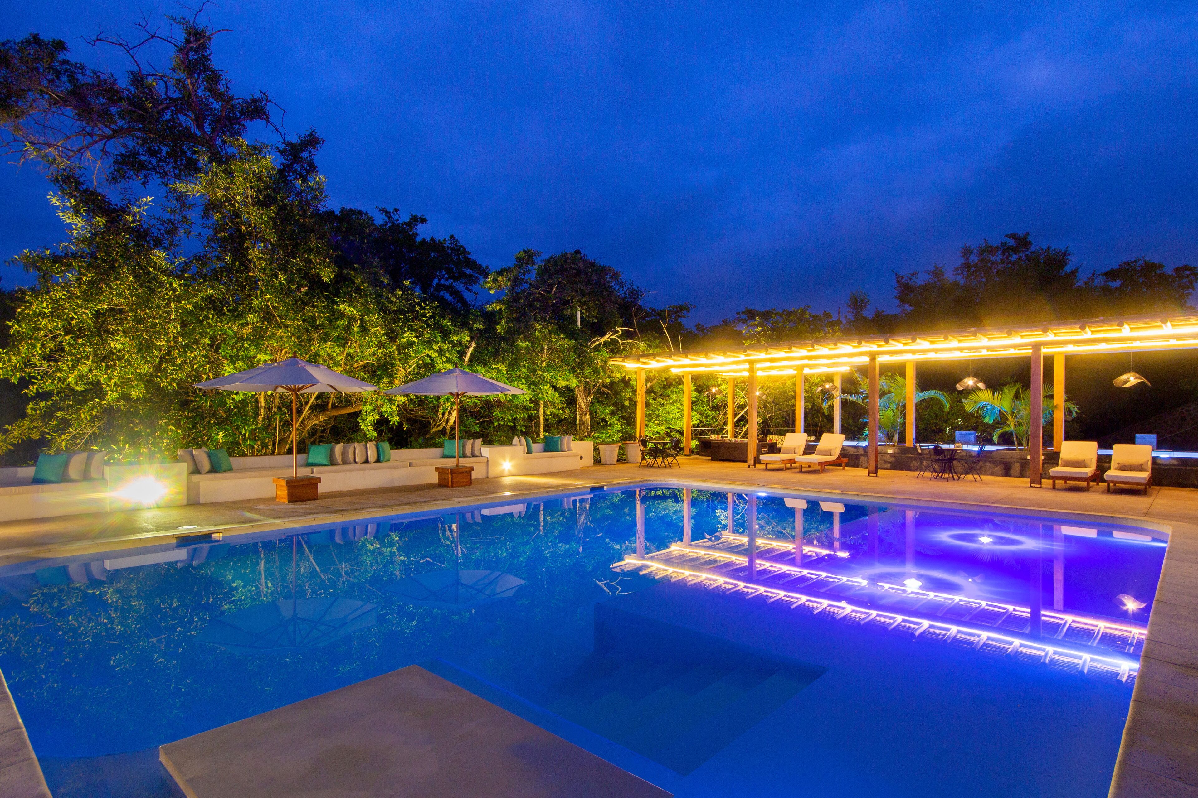 Outdoor pool, sun loungers