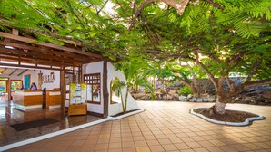 A reception area with a wooden desk, a reception counter, and a sign that reads "FIESTA GALAPAGOS". - Hotel Fiesta (Puerto Ayora)