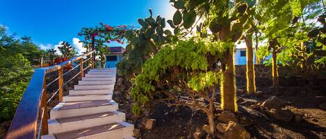 A staircase leading up to a building with a view of a garden with cacti and a blue building in the background.
