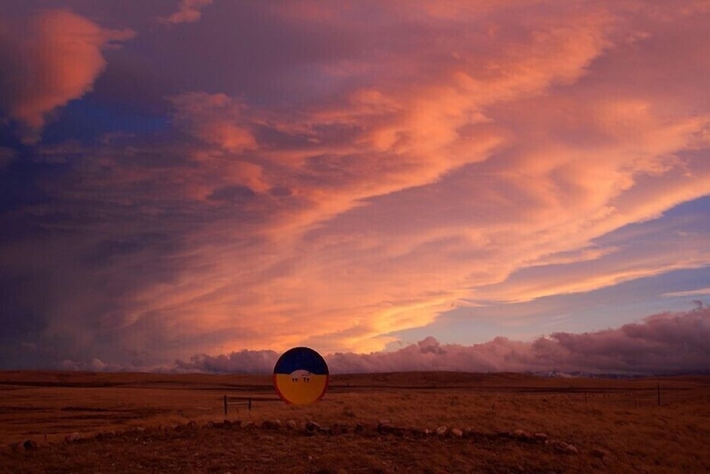 Lodgepole Gallery by null