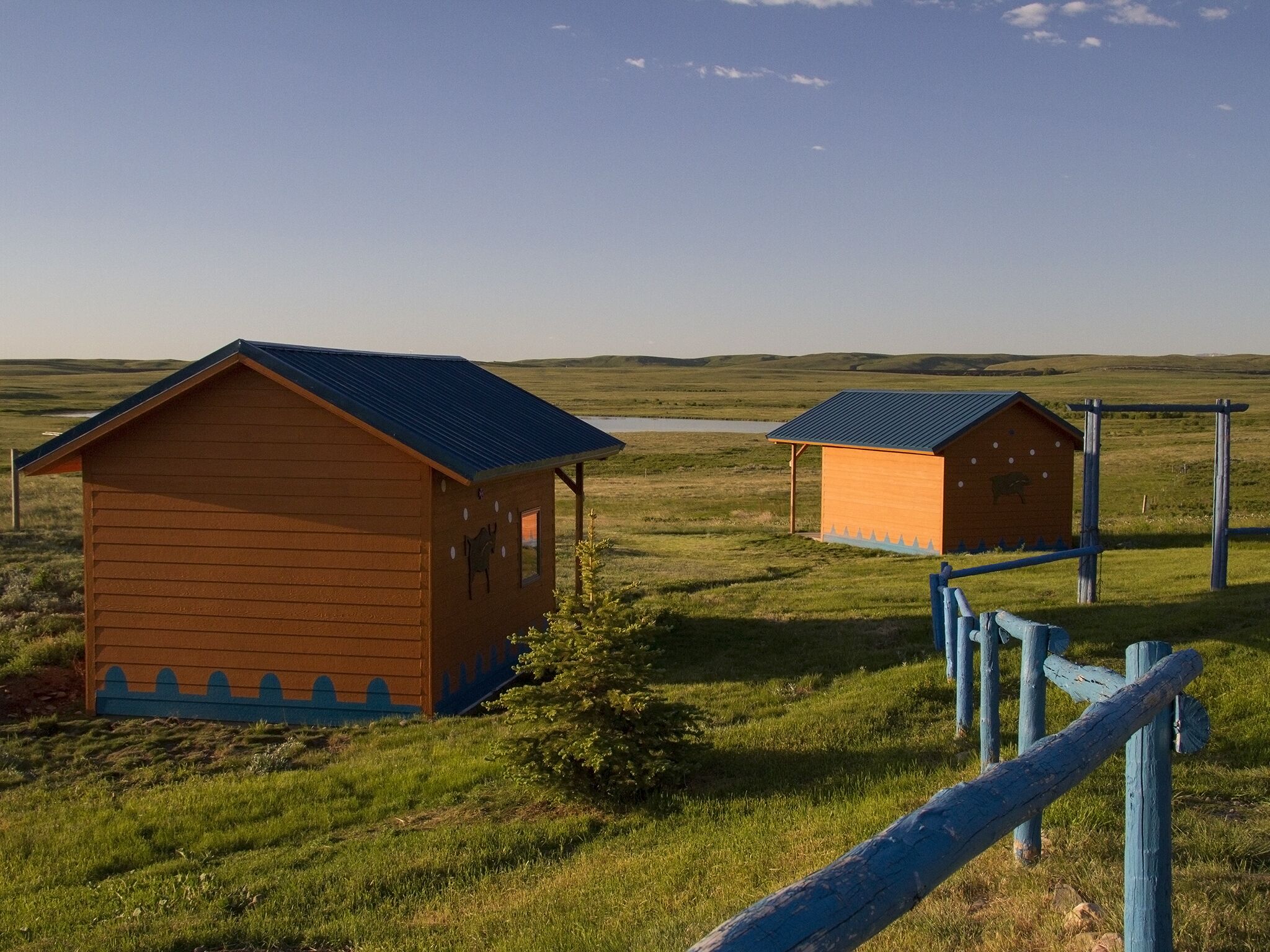 Two wooden cabins with blue roofs in a grassy field.