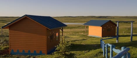 Two wooden cabins with blue roofs in a grassy field.