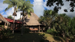 A thatched-roof hut with a wooden deck, surrounded by palm trees and tropical vegetation.