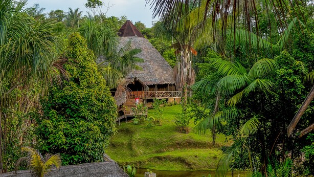 A traditional thatched-roof house surrounded by lush greenery and a small pond.