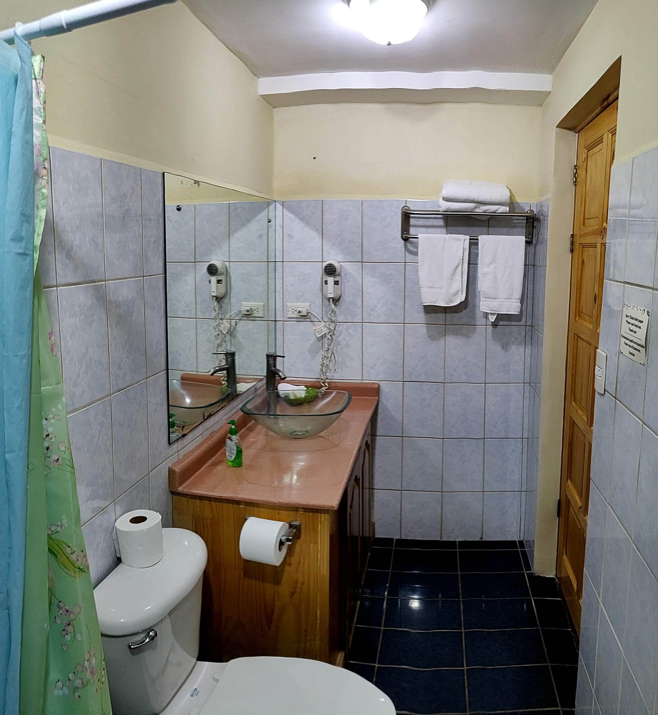 A bathroom with a toilet, sink, and mirror. There are two hair dryers on the wall, a towel rack with towels, and a green shower curtain.