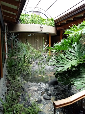 A traditional Japanese garden with a small stream, rocks, and various plants. - Apartotel Don Francisco (San Rafael)