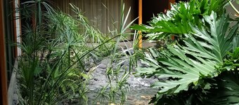 Apartotel Don Francisco