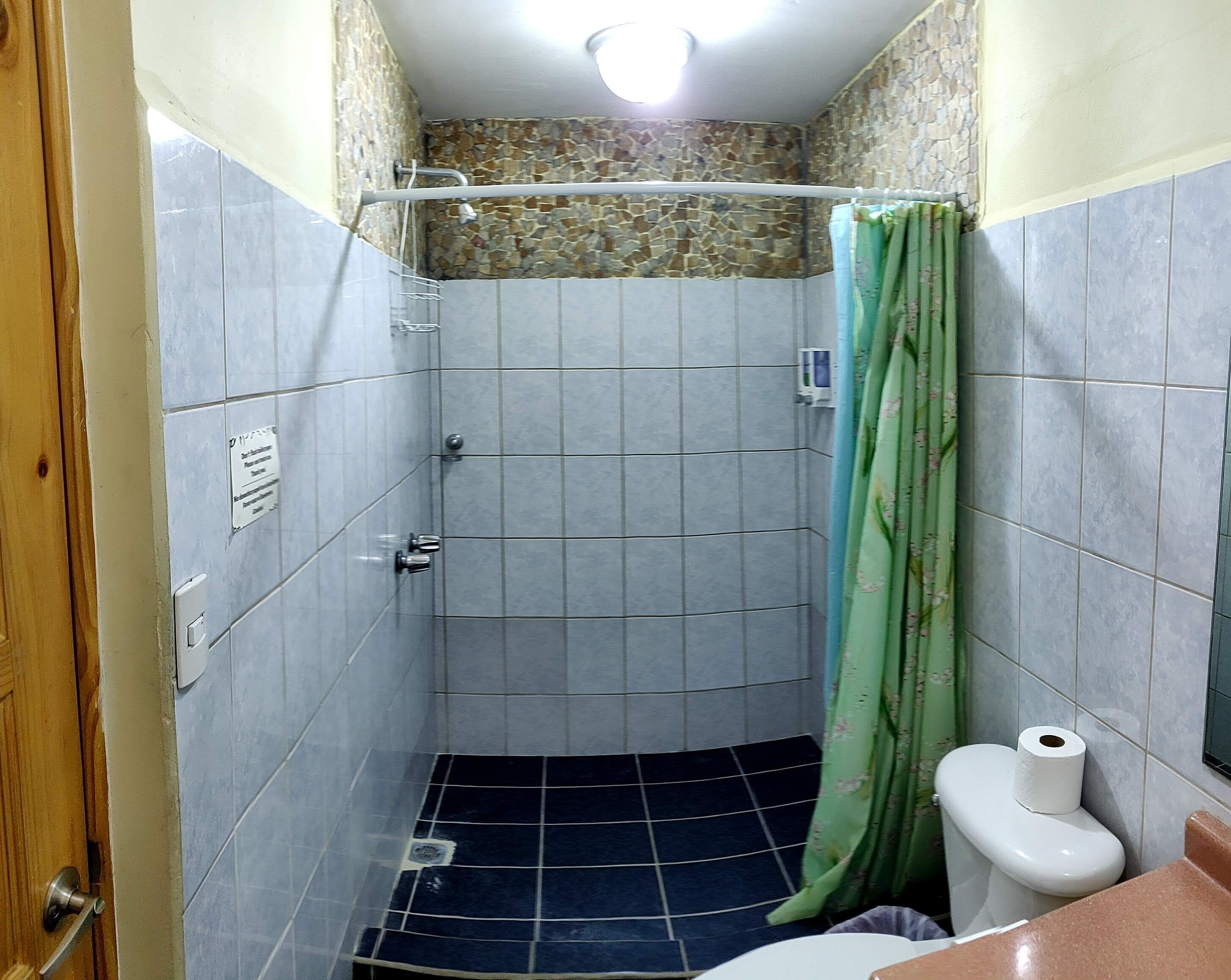 A small, tiled shower area with a toilet and a green shower curtain.
