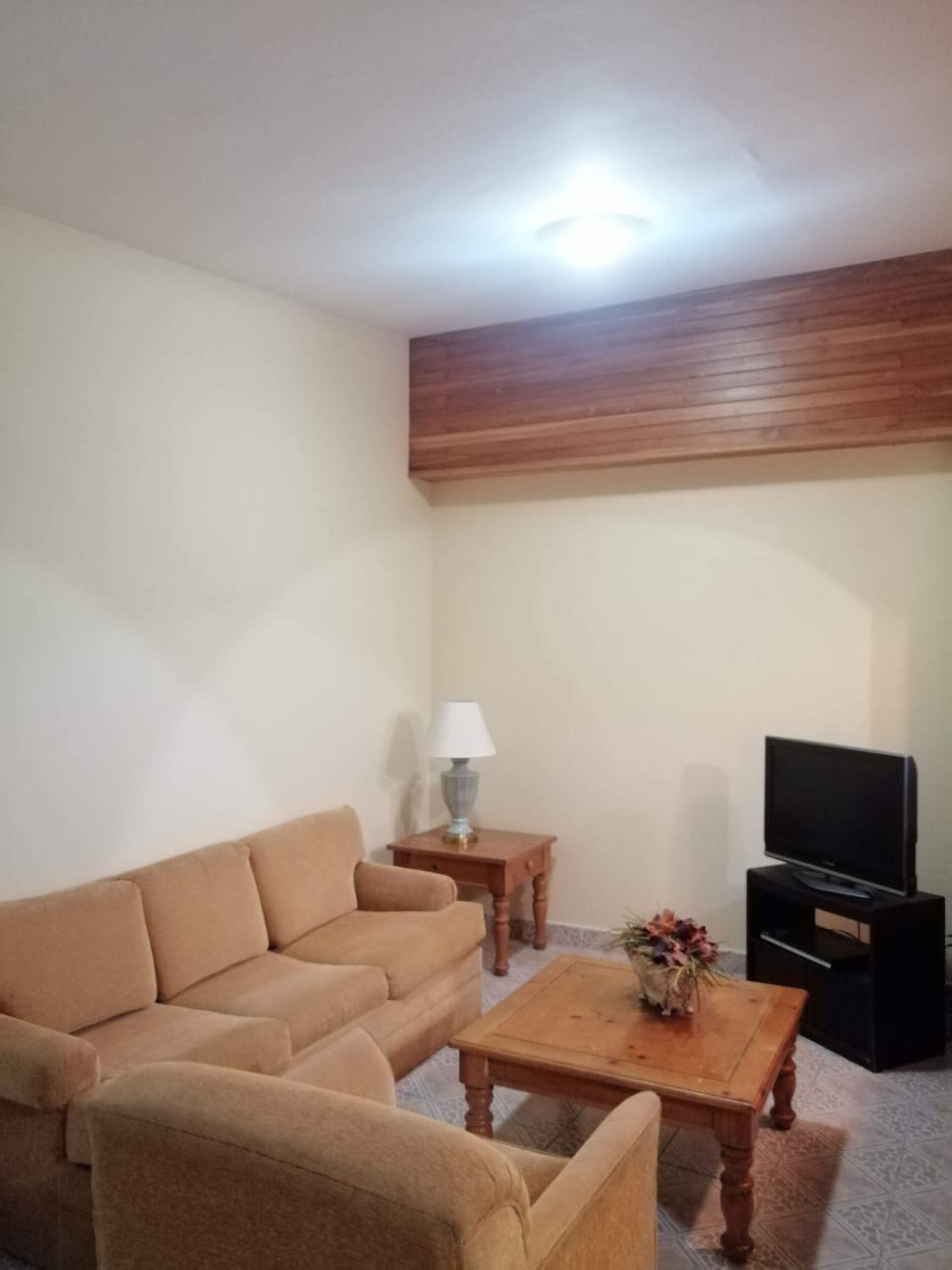 A living room with a sofa, a coffee table, a lamp, and a television.