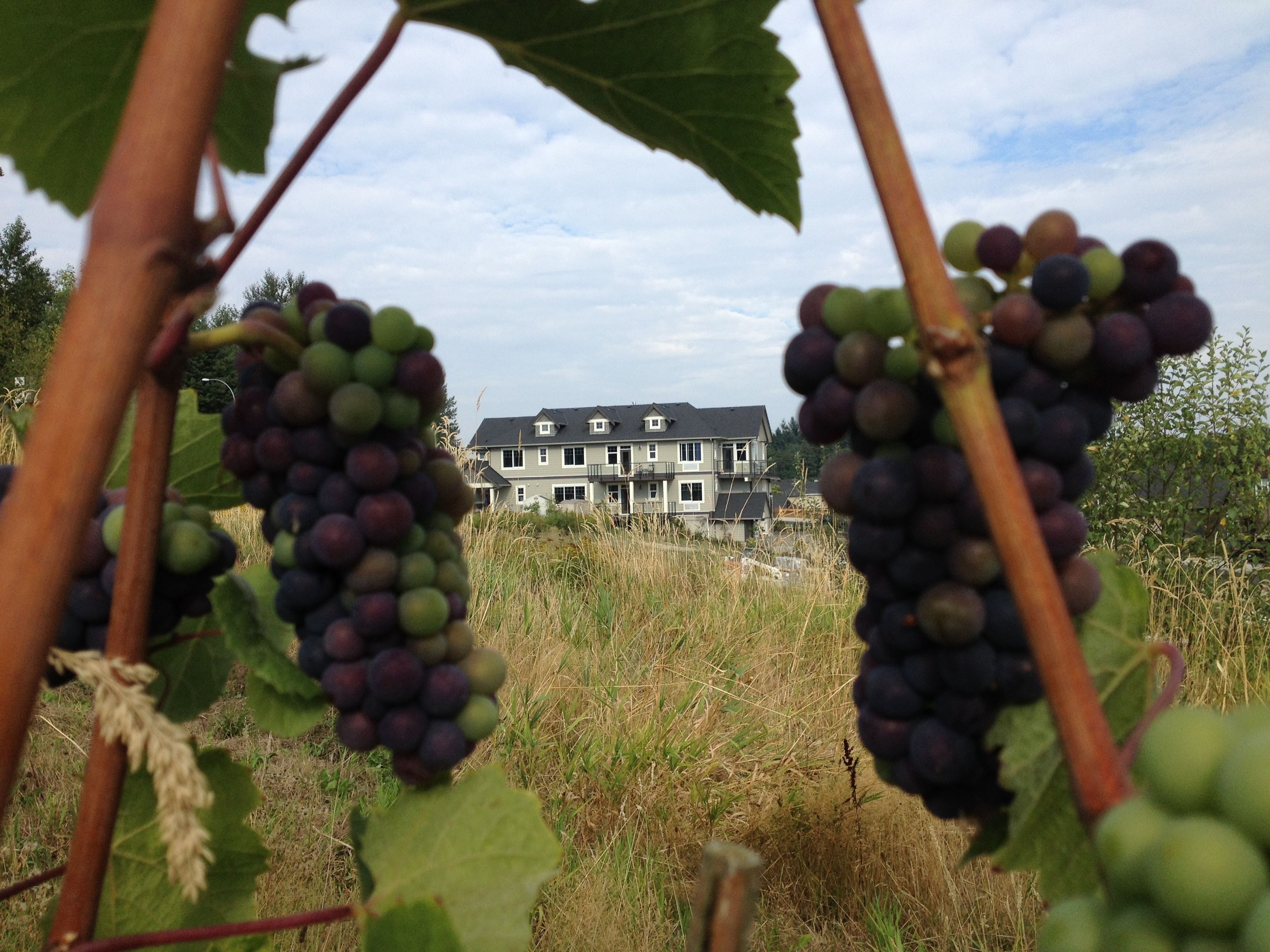 Depan hartanah - siang/malam