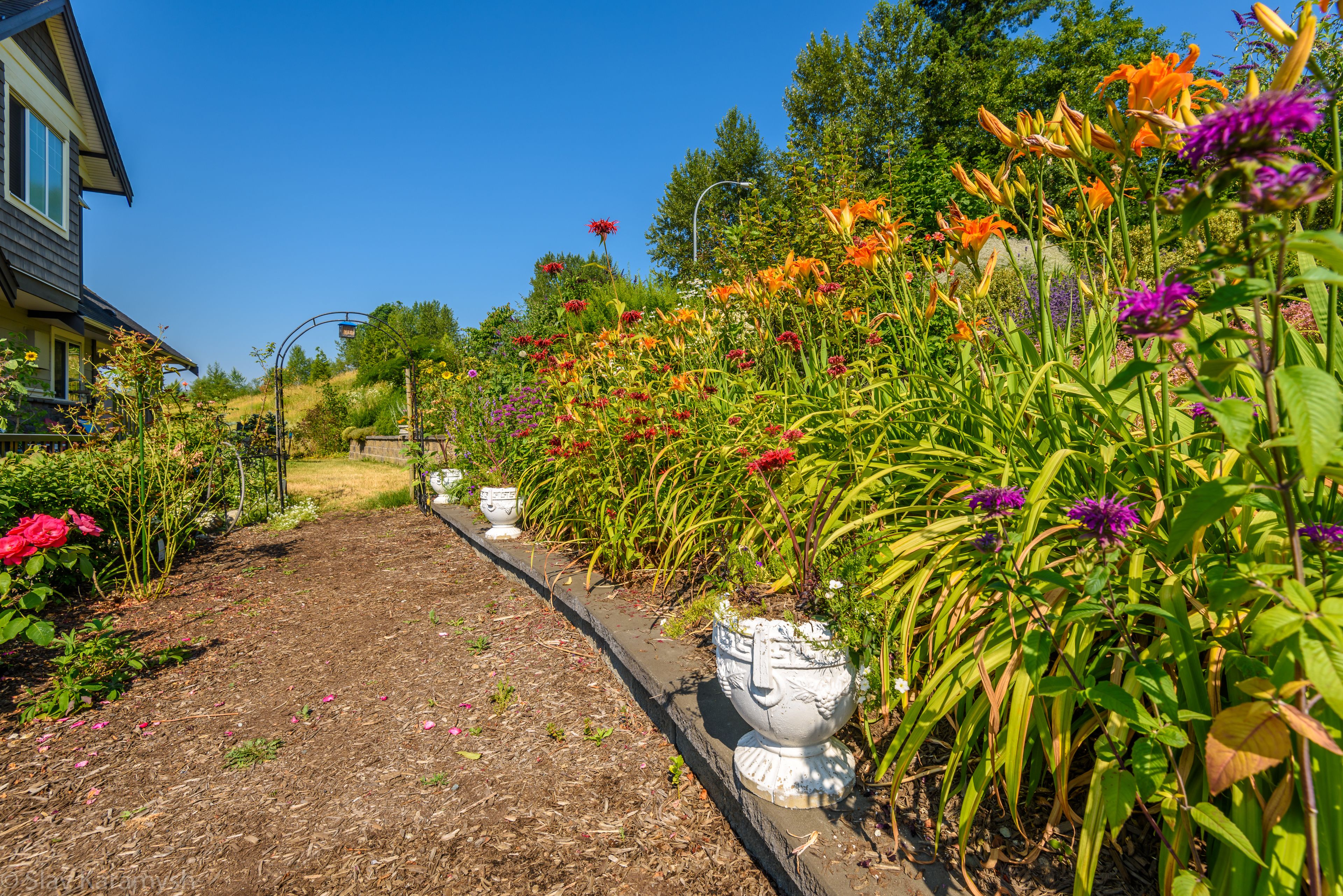the "a good year... in the vineyard" suite | garden