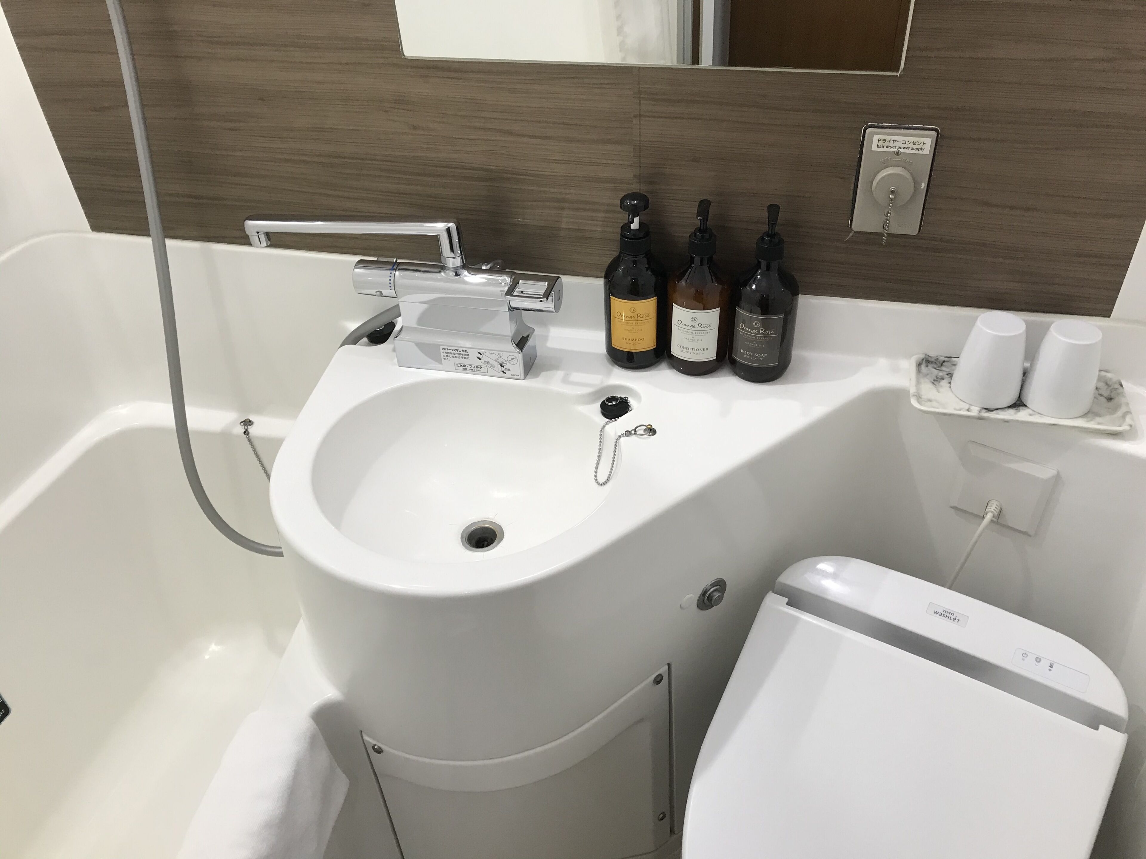 Ein Badezimmer mit einem weißen Waschbecken, einer Handbrause und drei Flaschen Haarpflegeprodukten.