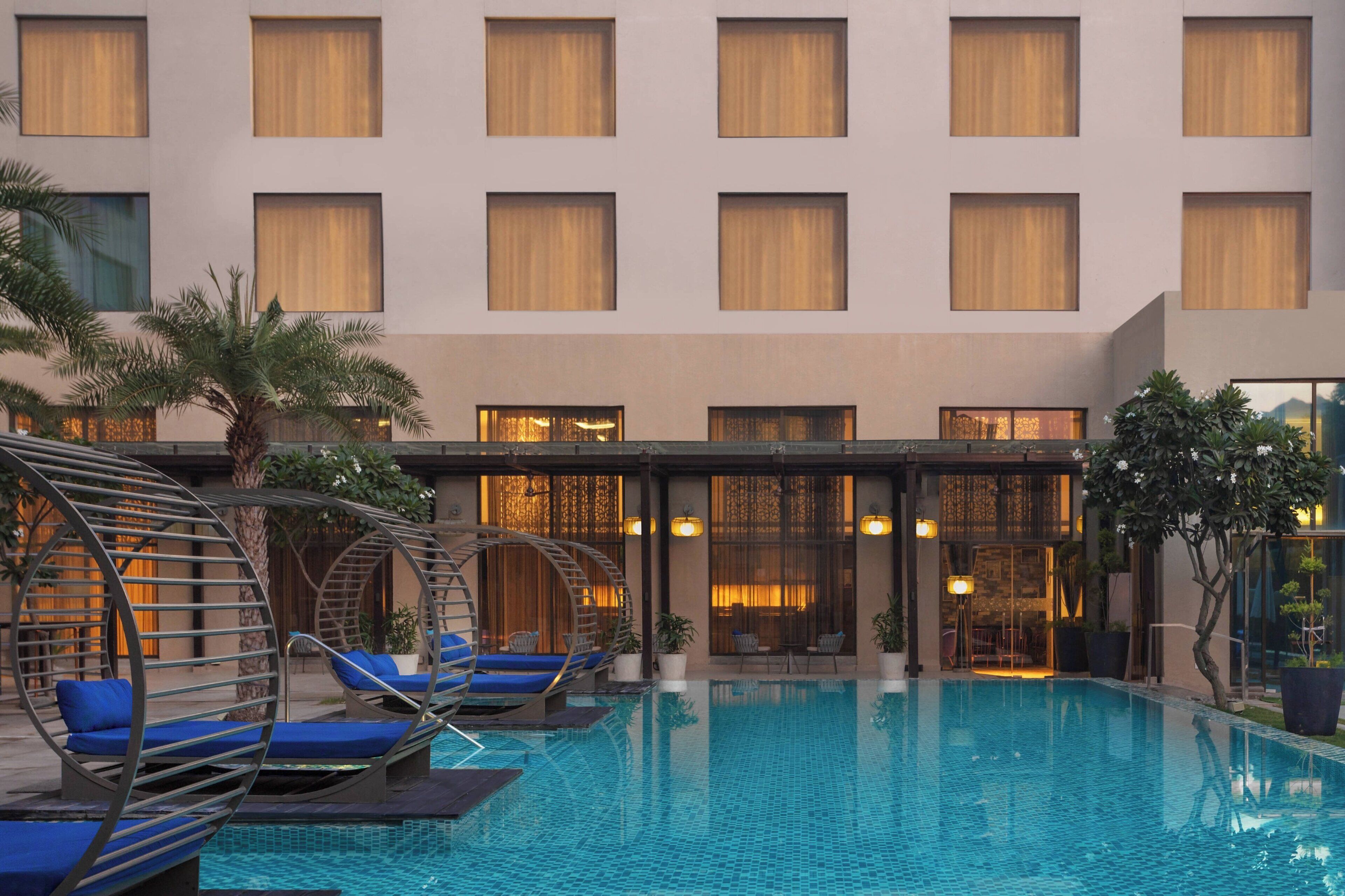 A hotel pool area with lounge chairs and a palm tree.