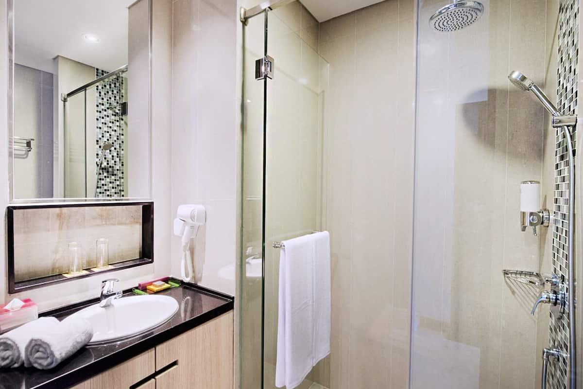 shower, rainfall showerhead, free toiletries, hair dryer