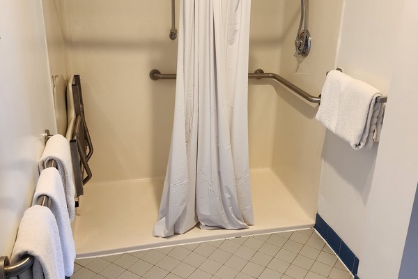 Combined shower/tub, free toiletries, hair dryer, towels