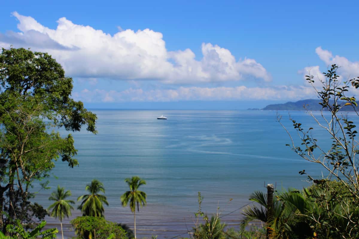 A coastal landscape with a boat on the water, palm trees, and a clear sky.