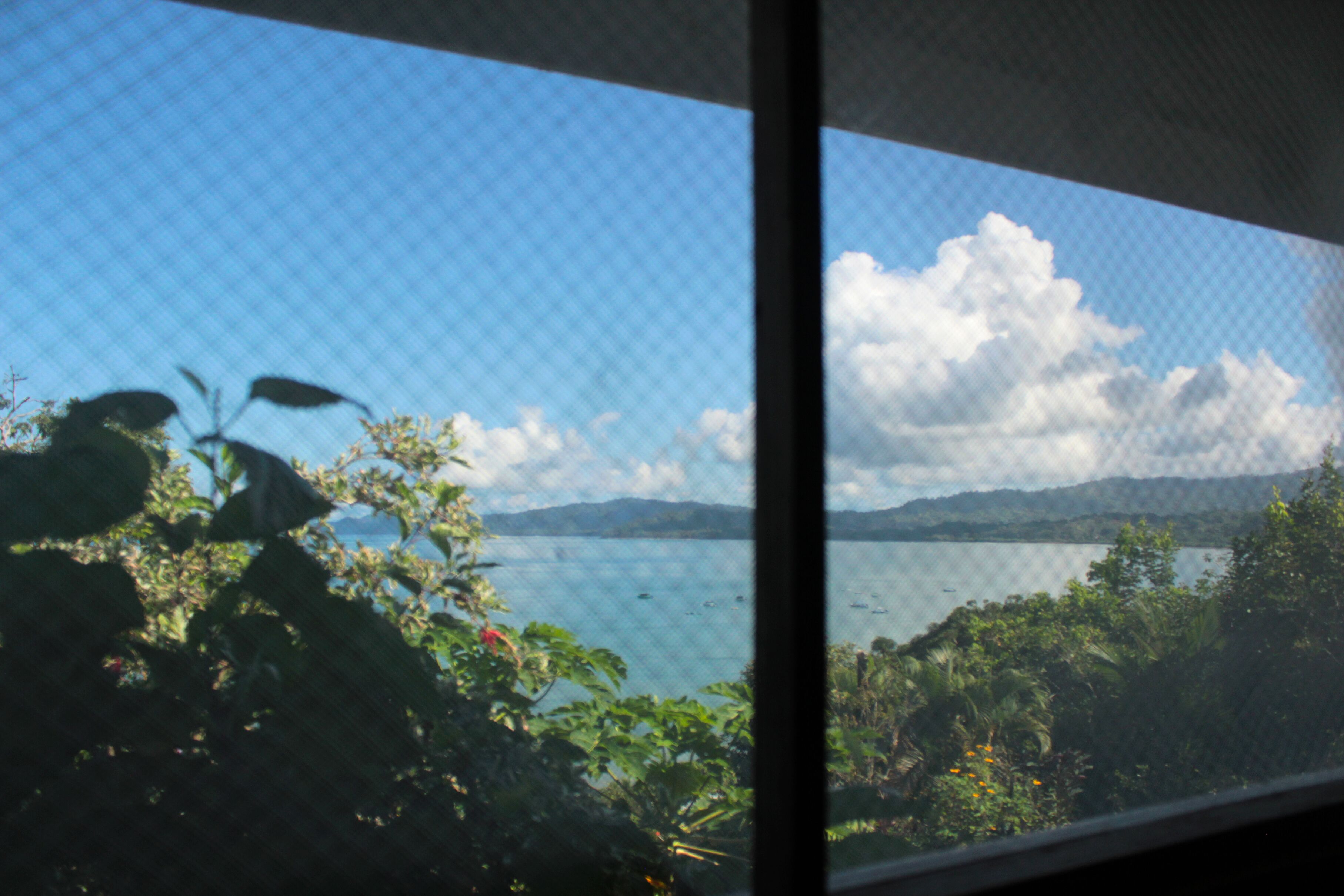 A view through a window with a mesh screen, displaying a lake, mountains, and surrounding greenery.