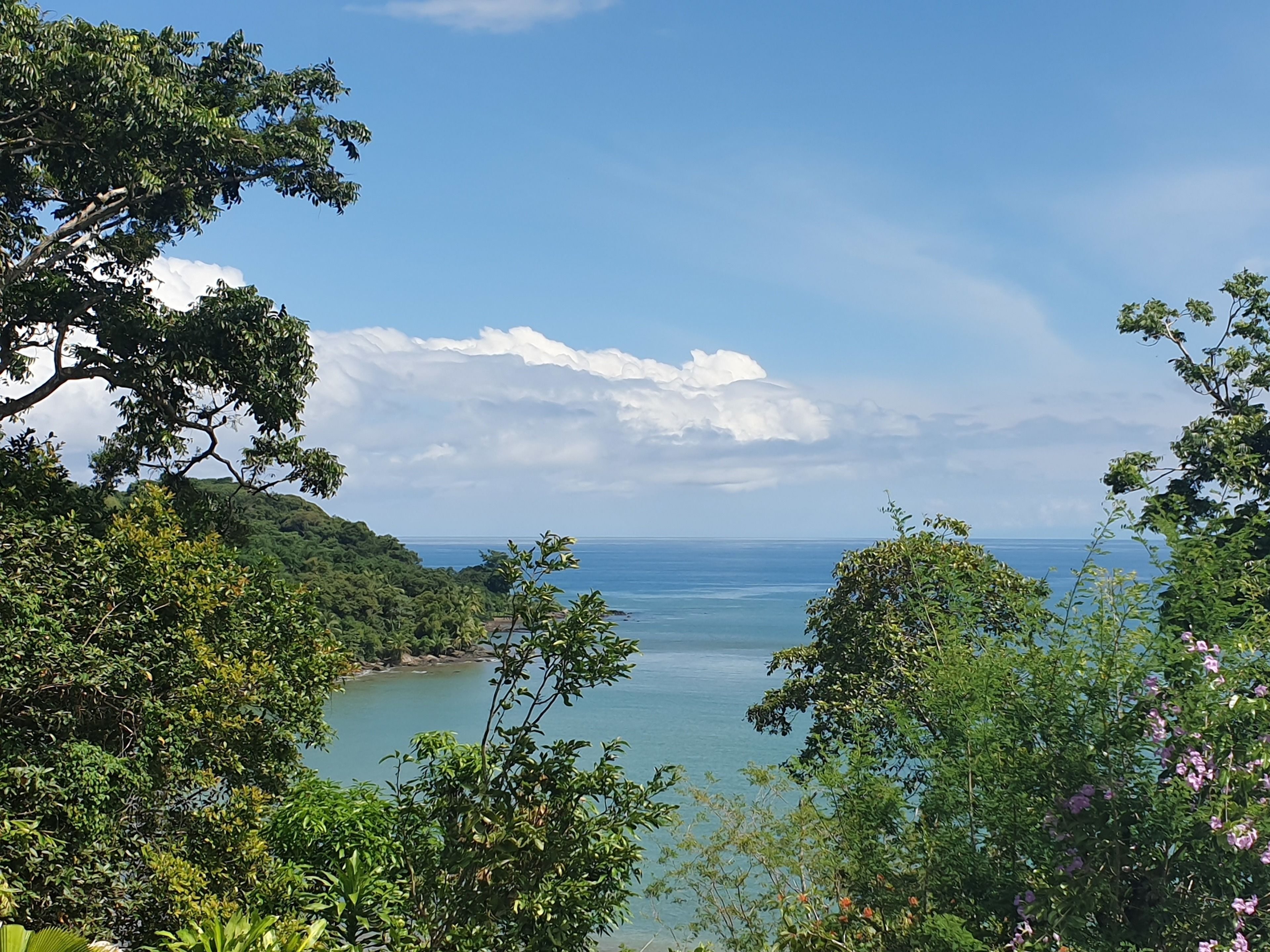 A coastal landscape with dense greenery and a view of the sea.