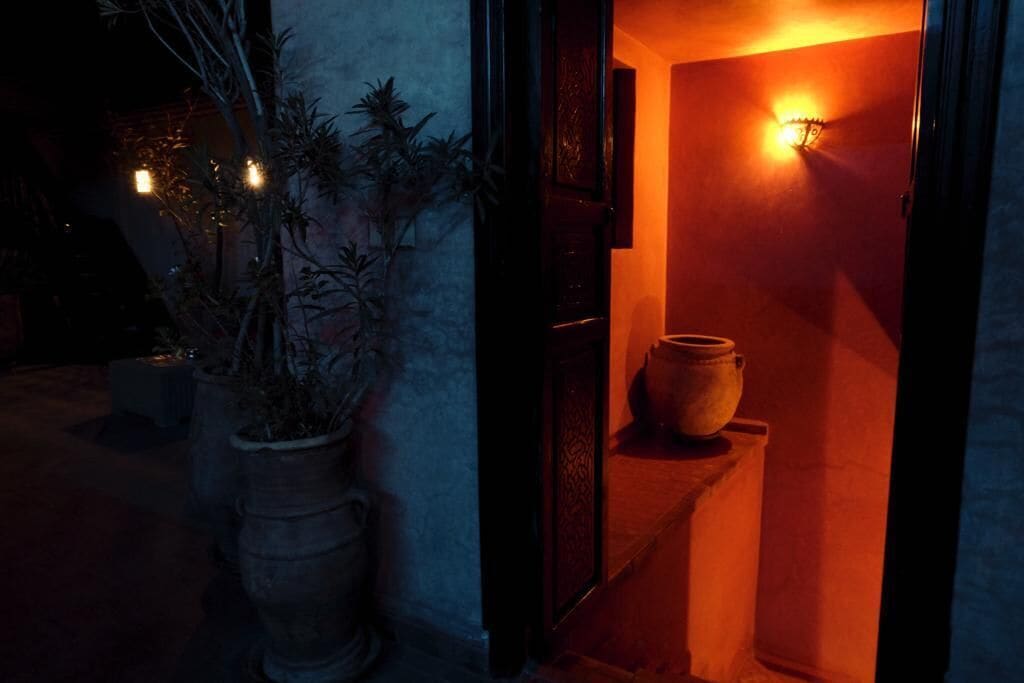 A dimly lit entrance with a potted plant and a decorative urn.