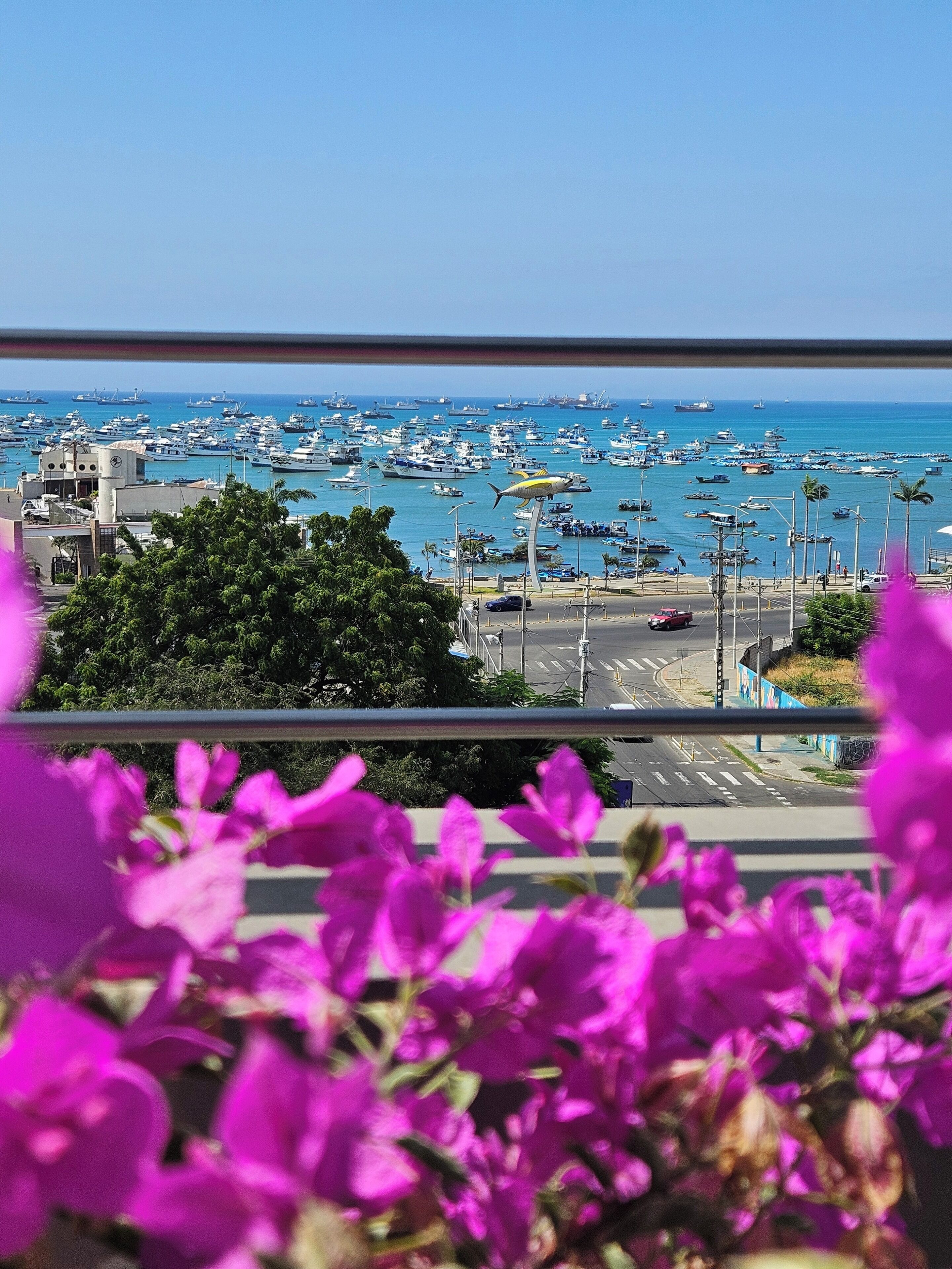 Photo - Hotel Perla Spondylus