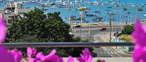 Un puerto deportivo con numerosos barcos y yates, un cielo azul despejado y vistas al mar.