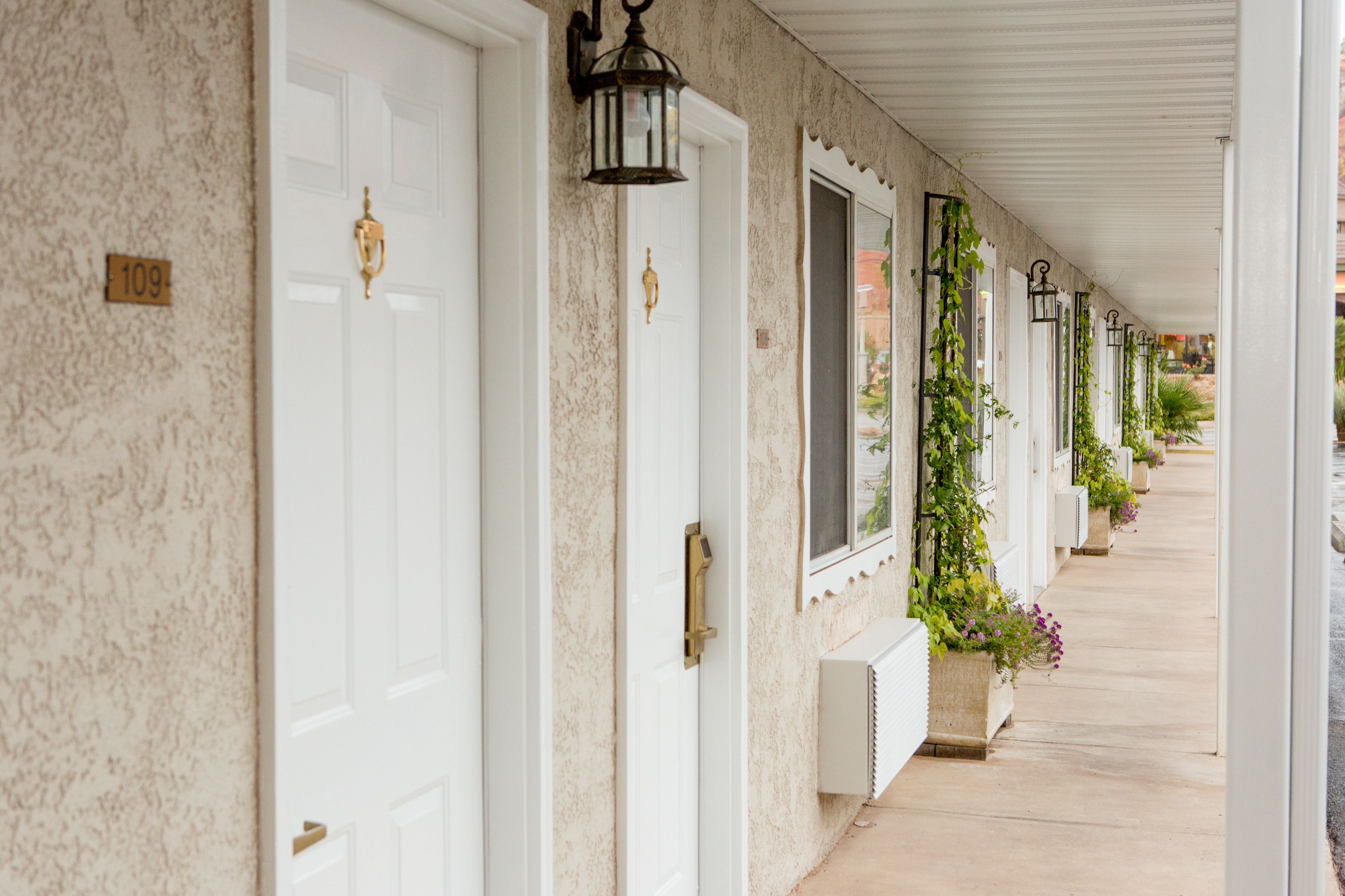 A row of white doors with brass handles and a number plate, a covered walkway with potted plants, and a row of hanging lanterns.