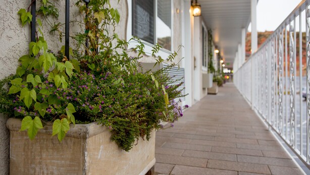 Un corredor exterior cubierto con una jardinera llena de plantas verdes y flores moradas, barandal blanco y una lámpara en el techo.