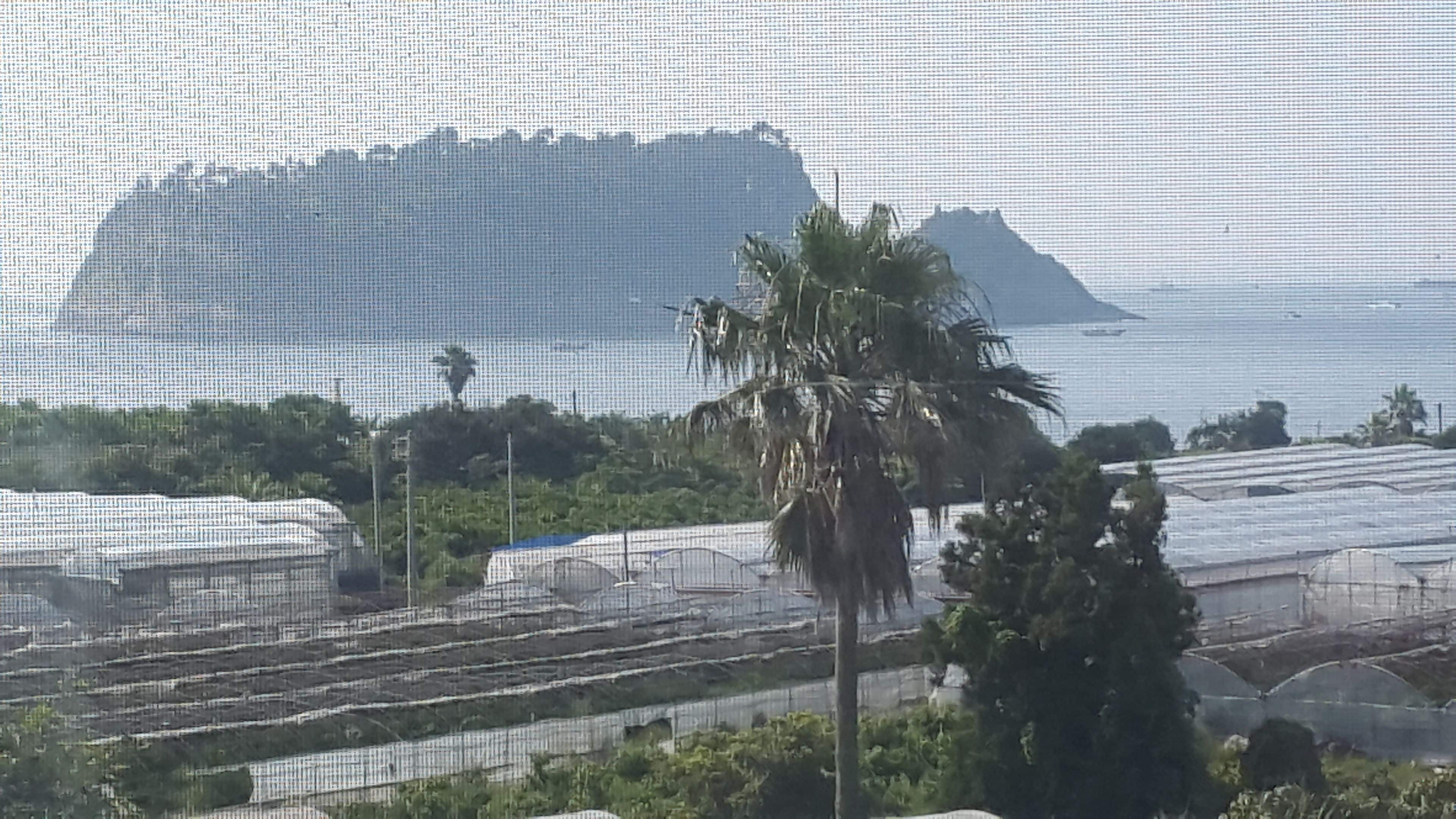 A coastal landscape with a large mountain in the background, green fields, and a palm tree.