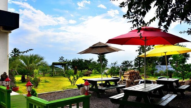 Un espace extérieur aménagé en terrasse, avec des tables de pique-nique et des parasols, entouré de verdure et offrant une vue sur l’océan.