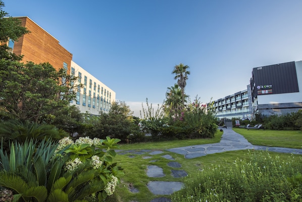 A modern building with a stone pathway leading to a seating area, surrounded by lush greenery and palm trees.