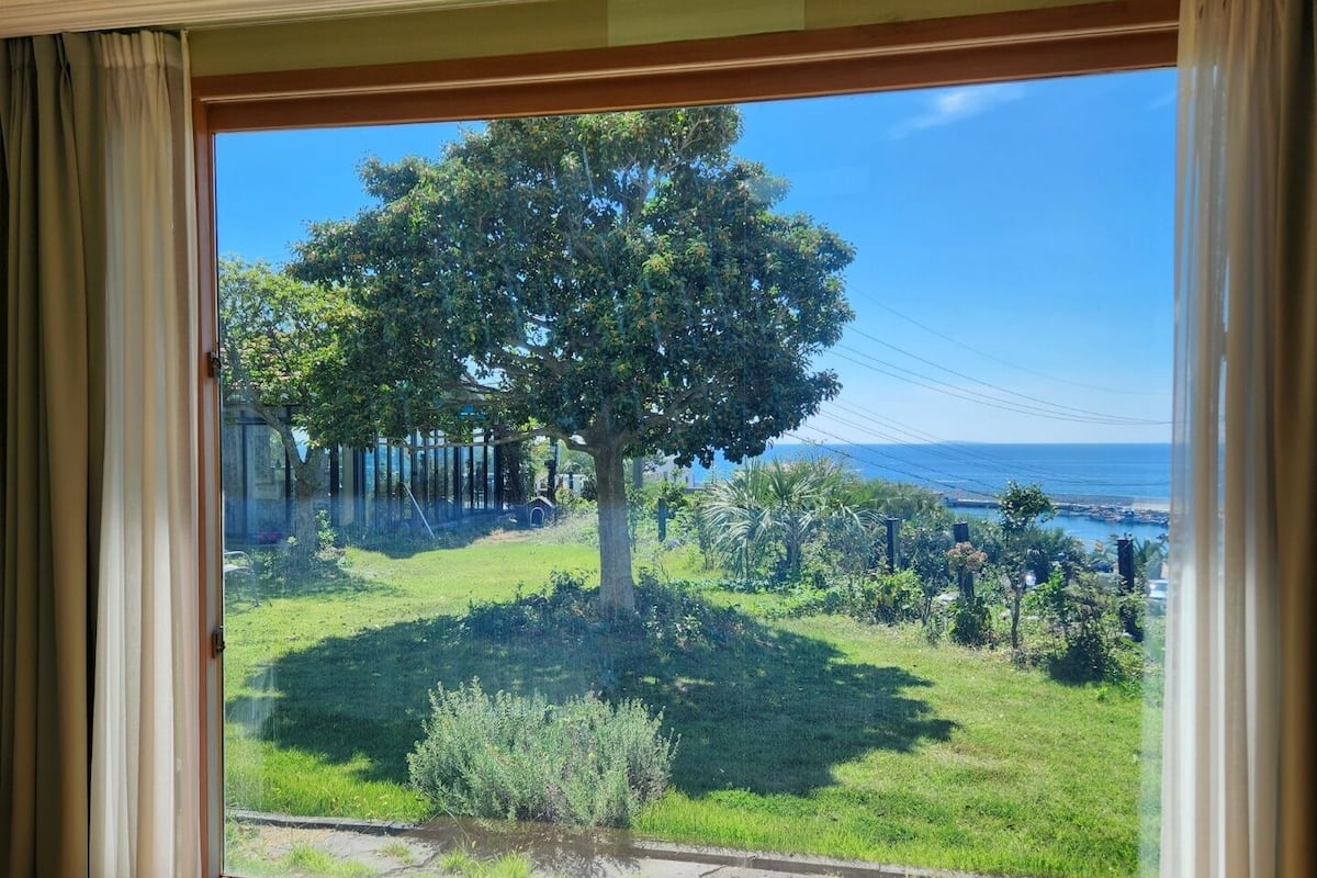 Une pièce dotée d’une grande fenêtre donnant sur un espace verdoyant, avec un arbre, et offrant une vue sur la mer.