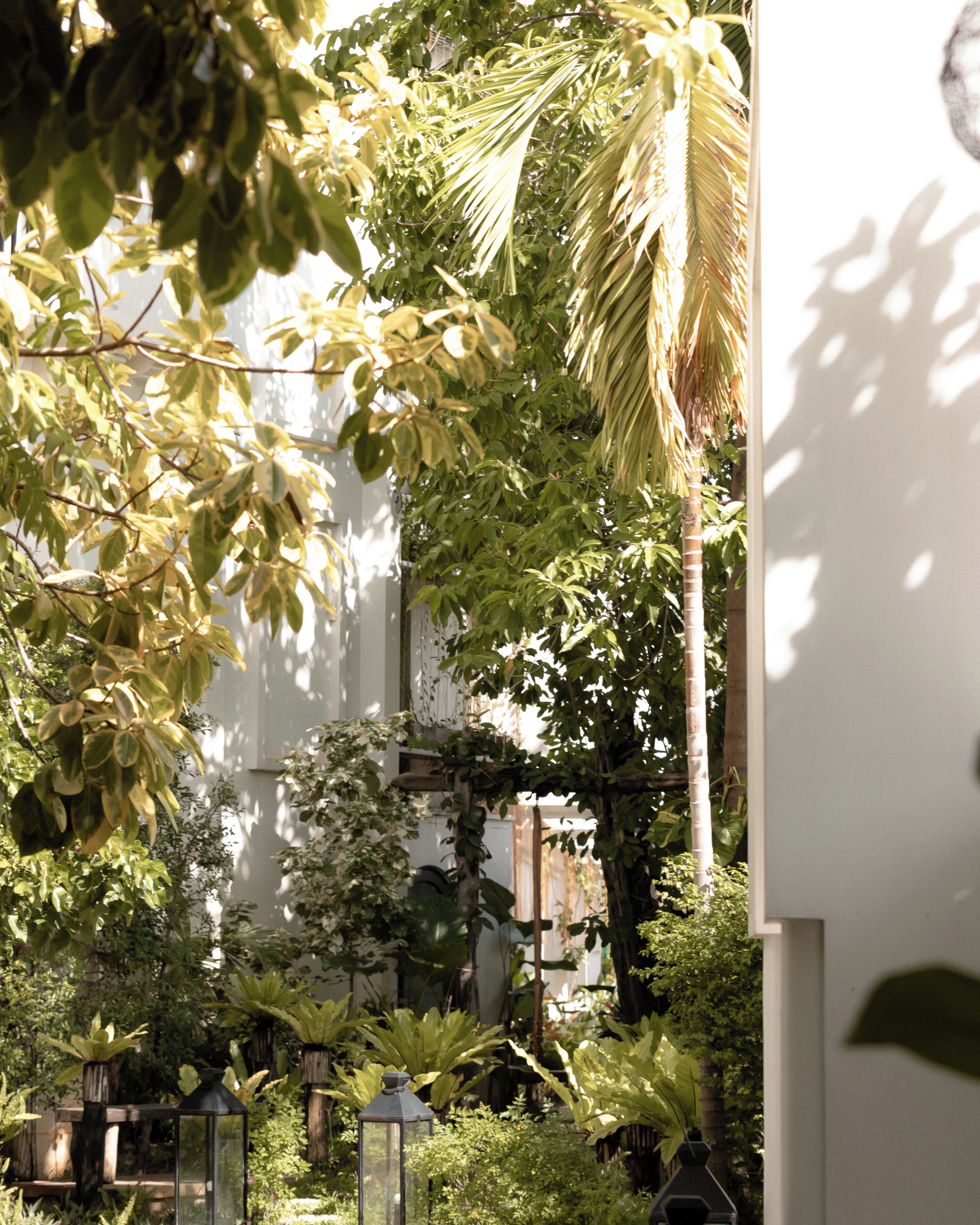 Foto - Sarai and Wander Resort