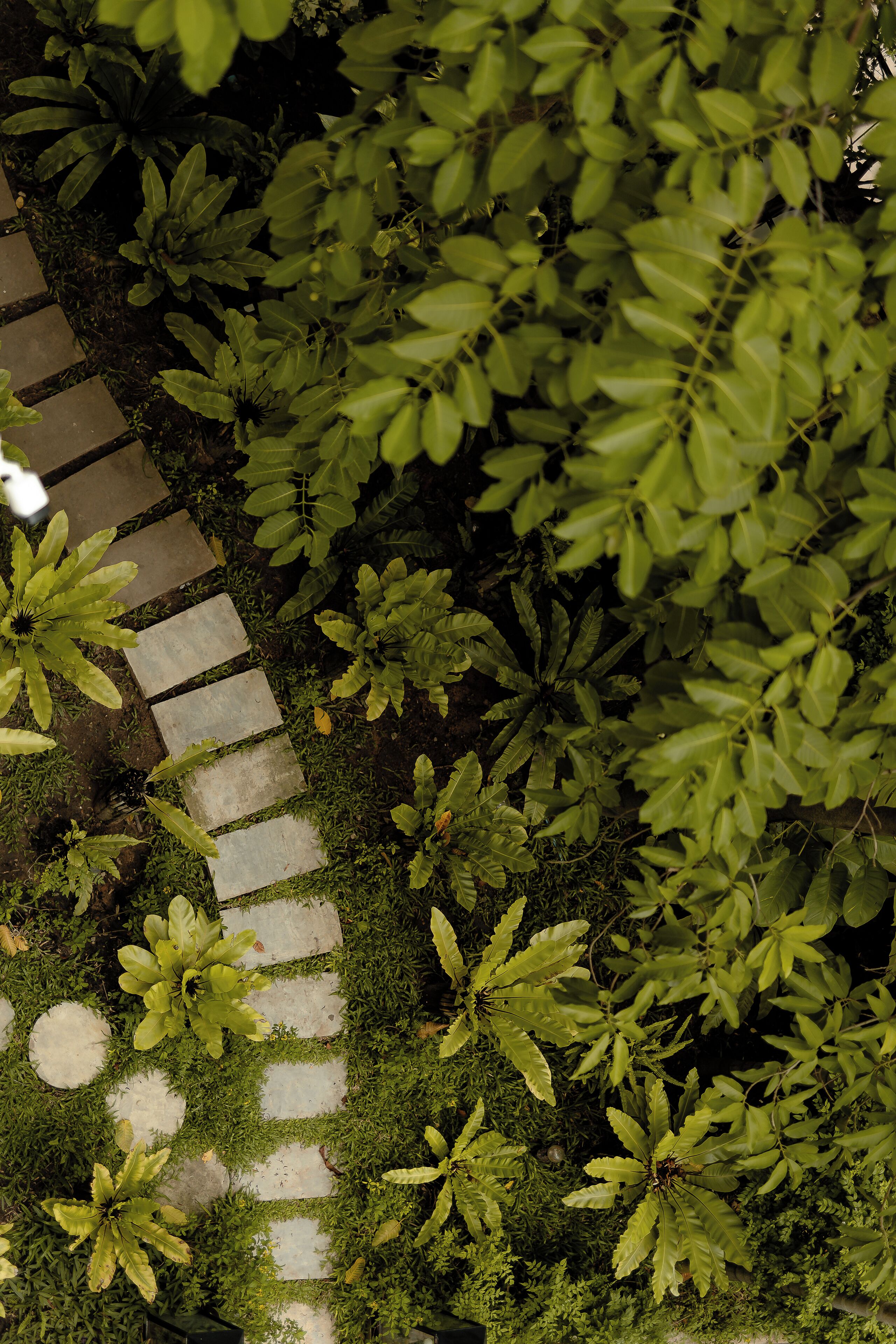 Foto - Sarai and Wander Resort