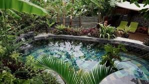 Ein Pool, umgeben von üppiger Vegetation und einer Holzterrasse mit Liegestühlen.