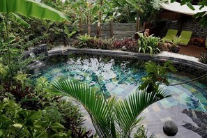 Sauna, hot tub, steam room, Turkish bath, body treatments
