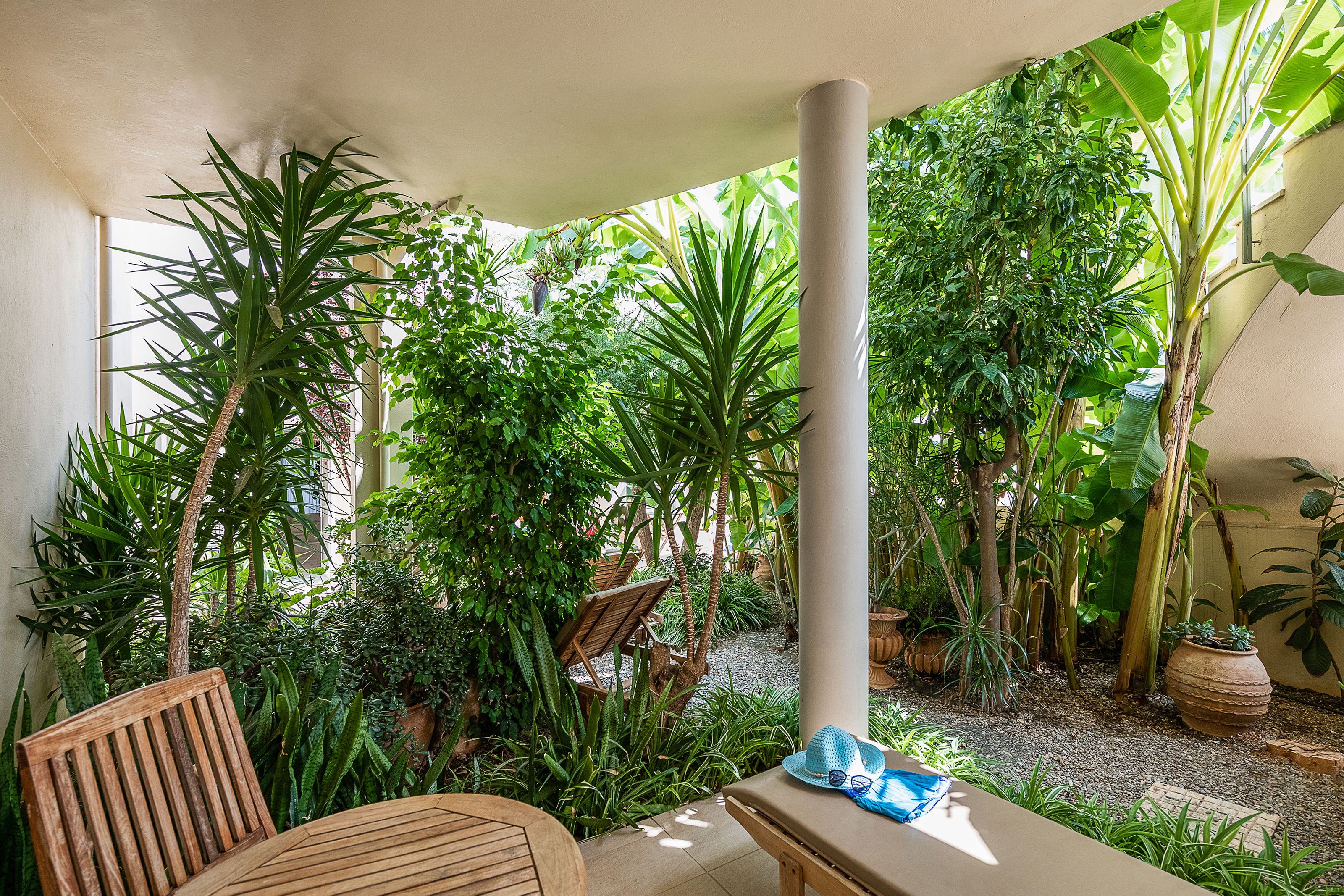 Terraza o patio